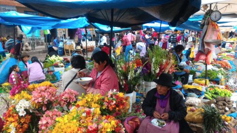 Picture of people in a market with flowers and fruits