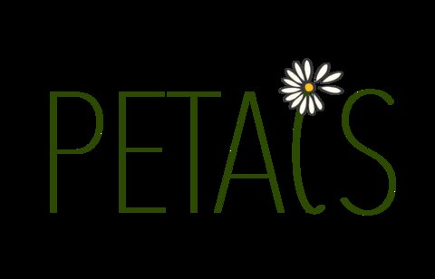 PETALS logo where the "L" in petals is a daisy with some petals blowing away.