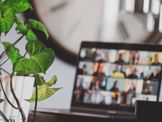 A laptop screen is out of focus in the background, with the many windows of an online zoom meeting open. To the left in the foreground, a houseplant in a white pot sits on the desk