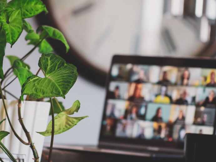 A laptop screen is out of focus in the background, with the many windows of an online zoom meeting open. To the left in the foreground, a houseplant in a white pot sits on the desk