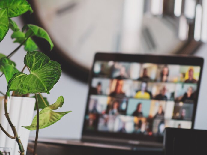 A laptop screen is out of focus in the background, with the many windows of an online zoom meeting open. To the left in the foreground, a houseplant in a white pot sits on the desk