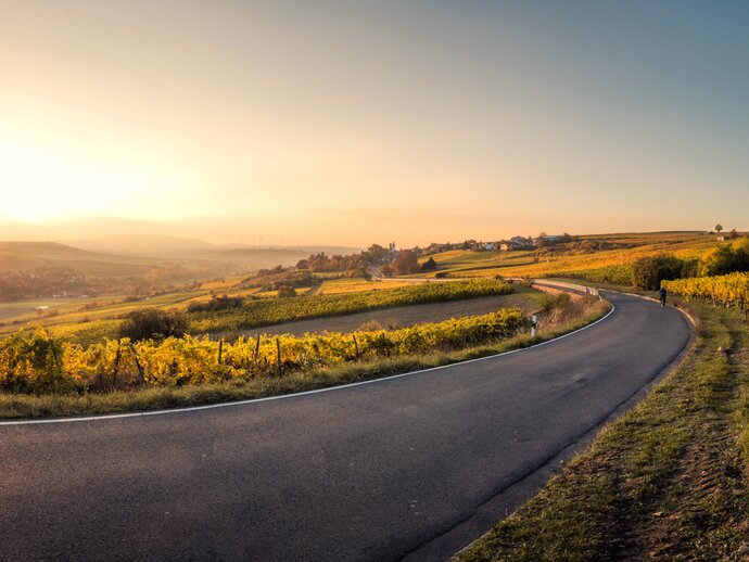 picture of a road disappearing around a corner in green countryside at sunrise