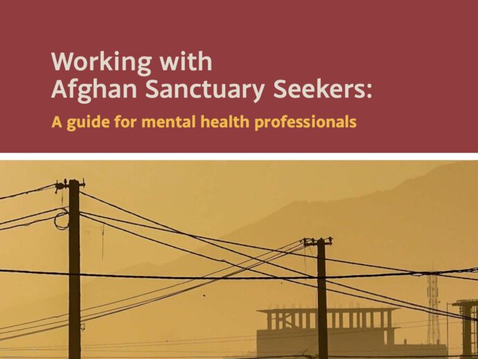 Cover of the guide, with title text and an image of telephone poles and wires across a background of a misty silhouette of a building and hills in the distance