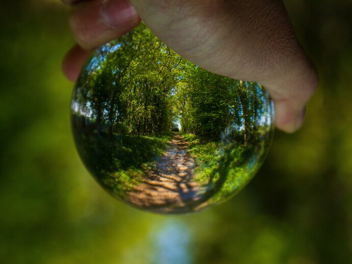 Photo of a hand holding a glass orb that brings the picture into focus - a path through green woodlands