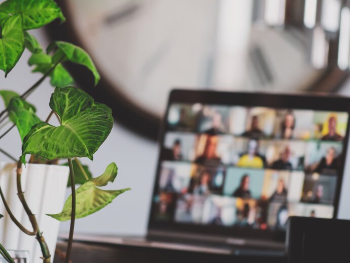 A laptop screen is out of focus in the background, with the many windows of an online zoom meeting open. To the left in the foreground, a houseplant in a white pot sits on the desk
