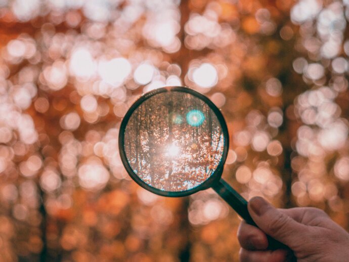 A magnifying glass held up to an autumnal forest
