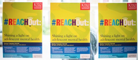 Photo of three REACH posters side by side