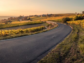 picture of road curving round green landscape at sunrise