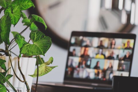 A laptop screen is out of focus in the background, with the many windows of an online zoom meeting open. To the left in the foreground, a houseplant in a white pot sits on the desk