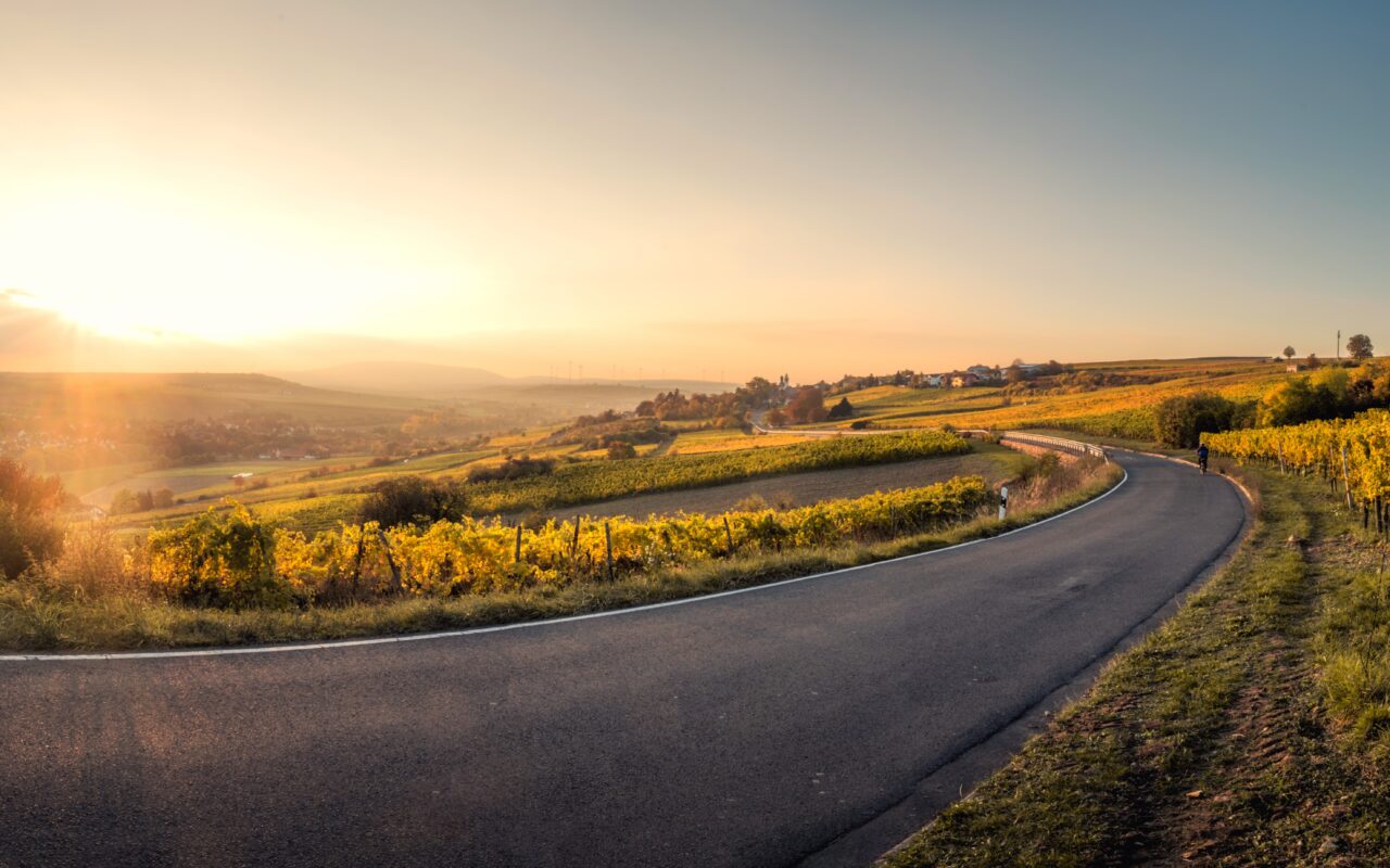 picture of a road disappearing around a corner in green countryside at sunrise