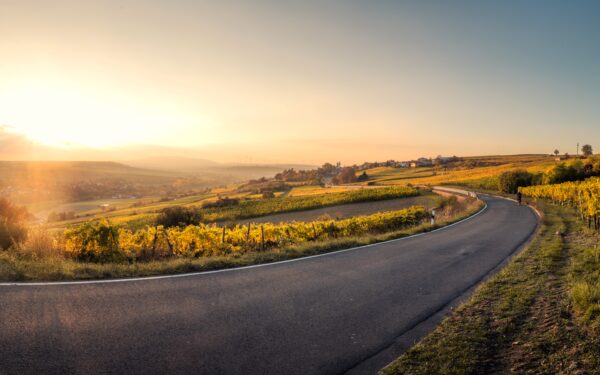 picture of a road disappearing around a corner in green countryside at sunrise