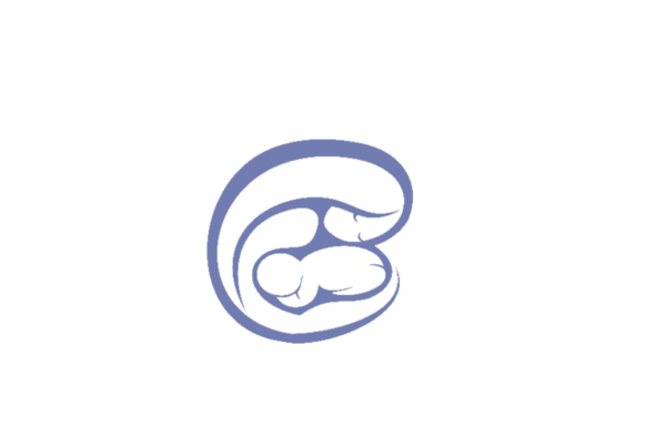 Picture of the adept logo - a stylised drawing of a woman with long hair cradling a baby