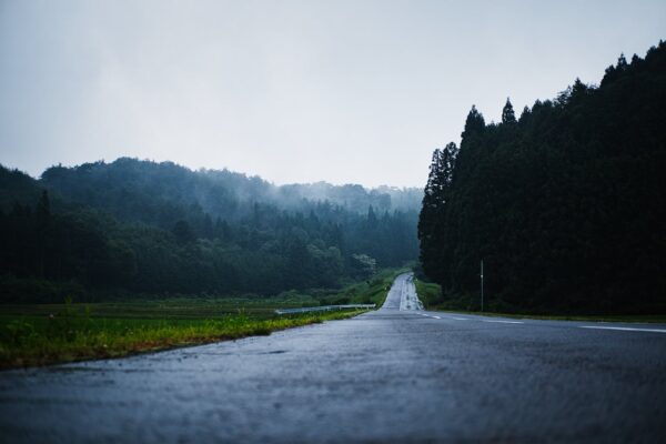 Photo of Empty Asphalt Road Between Trees