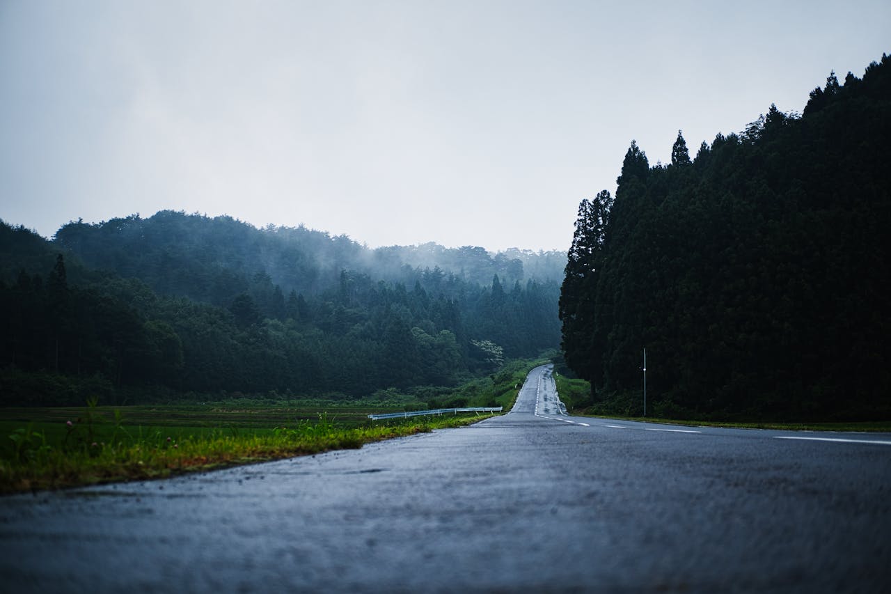 Photo of Empty Asphalt Road Between Trees