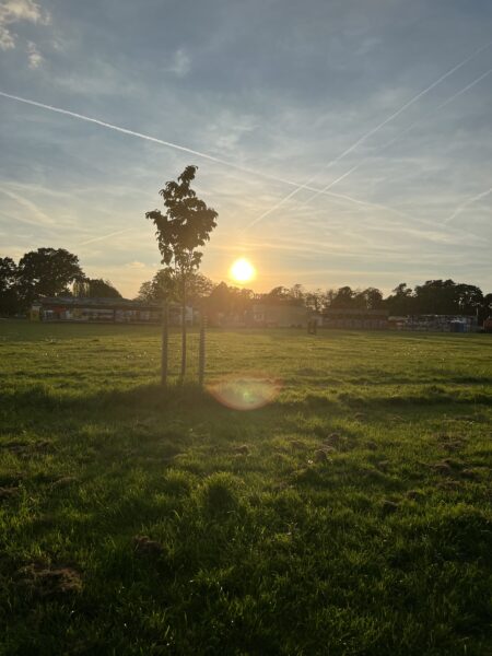 a peaceful green landscape scene