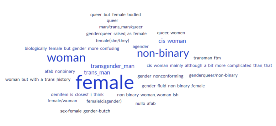 word cloud with WOMAN, NON BINARY, FEMALE, TRANSGENDER MAN, TRANS MAN, CIS WOMAN as the biggest words
