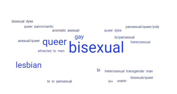 Word cloud with bisexual, queer, lesbian, gay as the biggest words