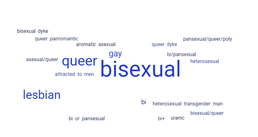 Word cloud with bisexual, queer, lesbian, gay as the biggest words